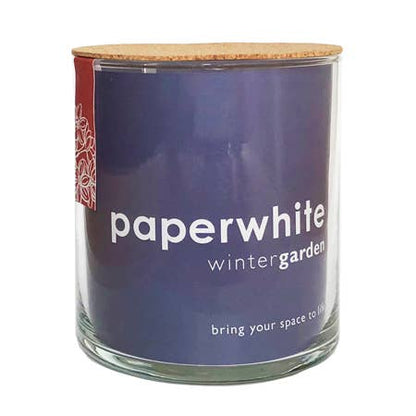 Essential | Paperwhites | Fall & Christmas | Best Seller