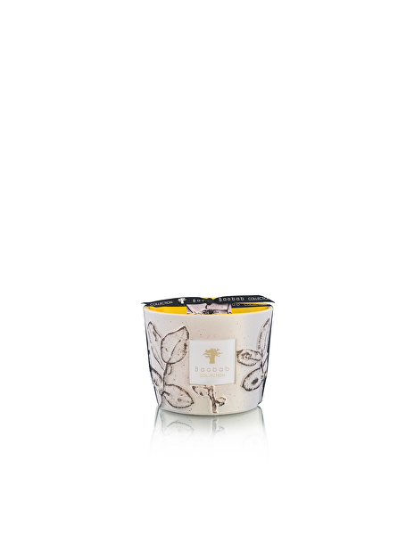 Baobab - Folia Calanque Max 10