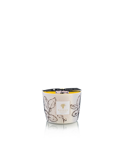 Baobab - Folia Calanque Max 10