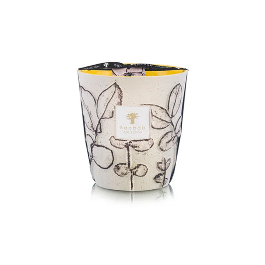 Baobab - Folia Calanque Max 16
